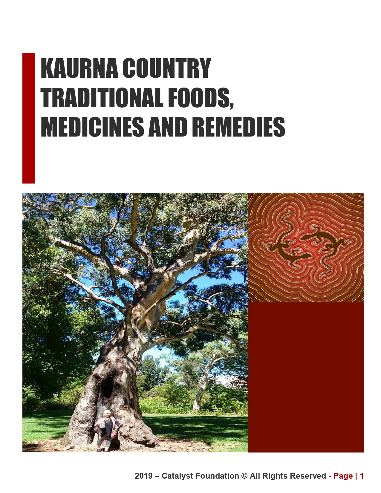 Catalyst-Foundation-Kaurna-Country-Traditional-Foods-Medicines-and-Remedies_page-0001